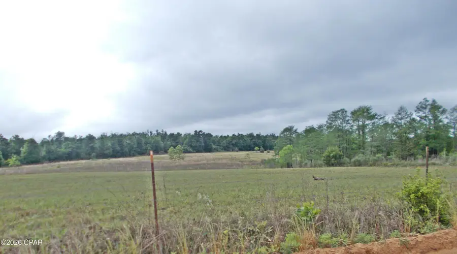 00 Express Road, Grand Ridge, FL 32442 - #2