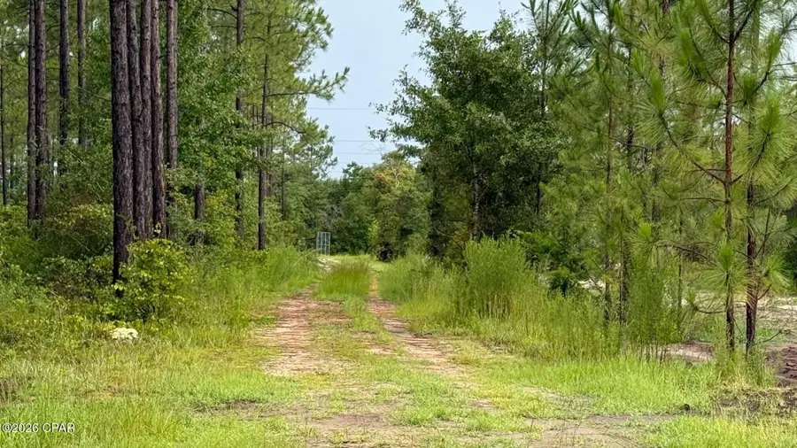 00 Foster Road, Fountain, FL 32438 - #3