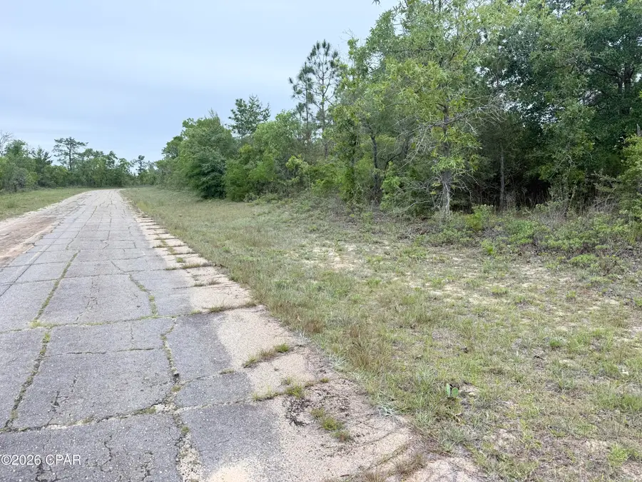 XXX Sumatra Drive, Chipley, FL 32428 - #3