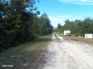 Lot 7 & 8 NW Mckenzie Boulevard, Altha, FL 32421 - #1