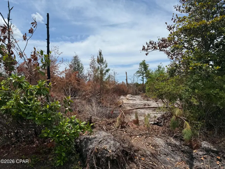 00 Harvard Boulevard, Lynn Haven, FL 32444 - #2