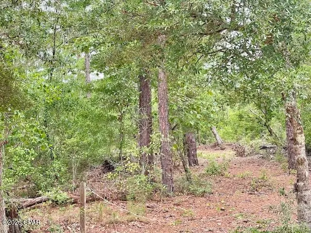 0 E Dixie Drive, Marianna, FL 32448 - #2