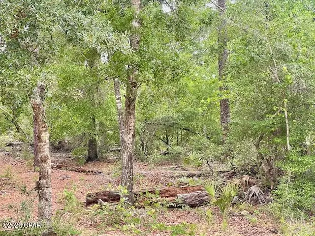 0 E Dixie Drive, Marianna, FL 32448 - #3
