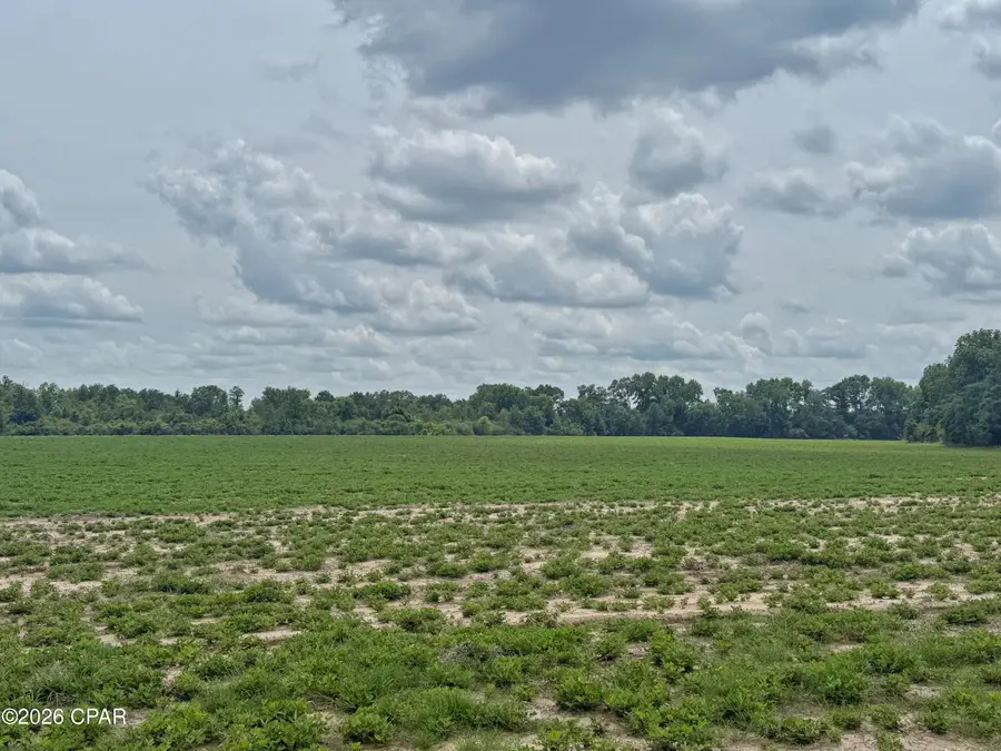 5107 Cloverdale Road, Graceville, FL 32440 - #3