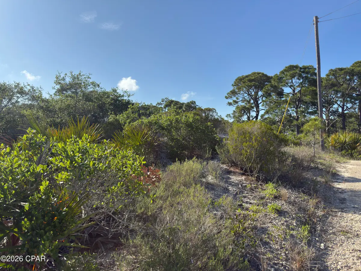 105 Sand Trace Drive, Cape San Blas, FL 32456 - #1