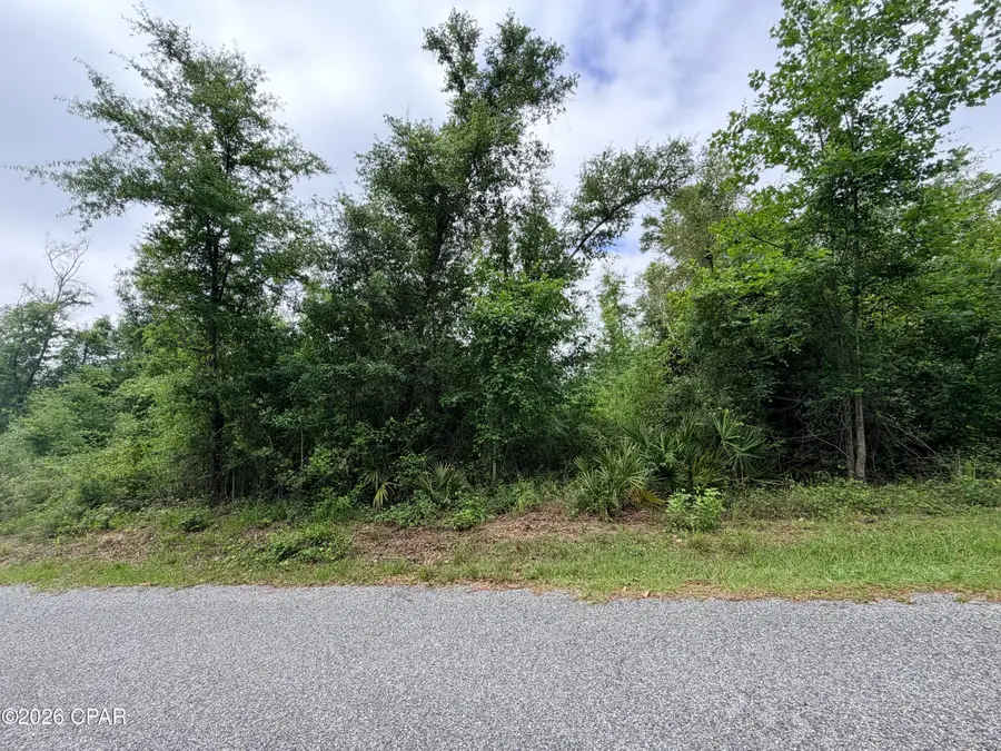 00 Mona Lane, Alford, FL 32420 - #2