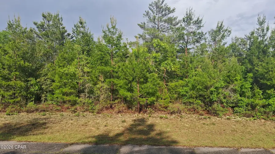 0 Parkview Drive, Chipley, FL 32428 - #3