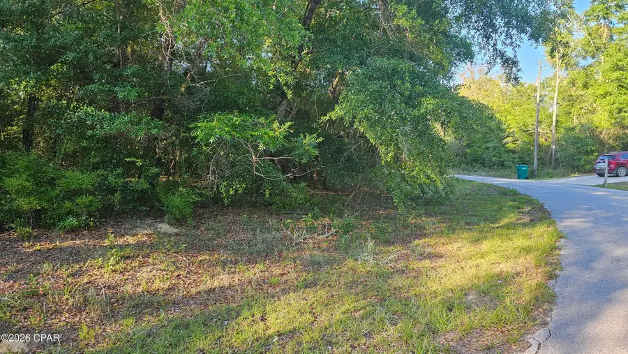 Lot 10 Janet Circle, Chipley, FL 32428 - #2