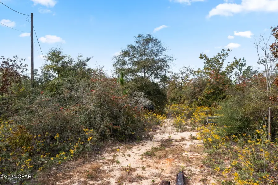 000 Powerline Road, Chipley, FL 32428 - #3
