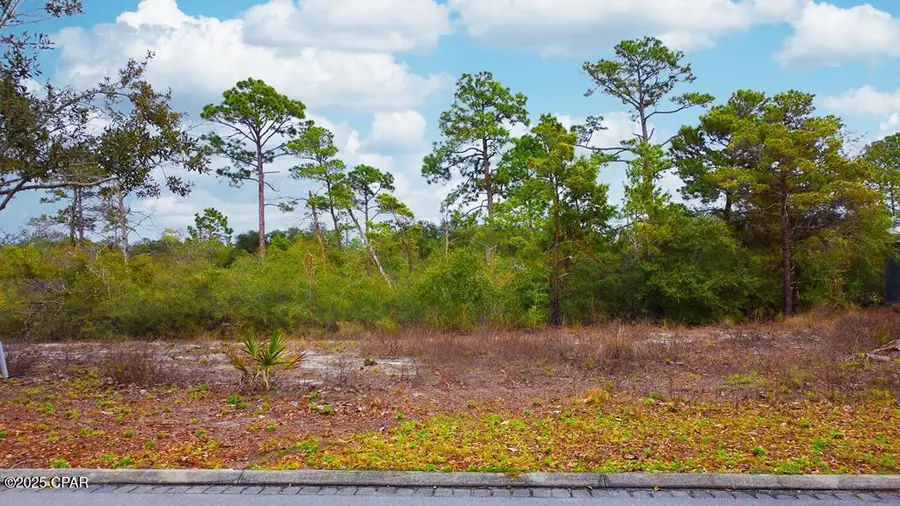 610 Tide Water Drive, Port Saint Joe, FL 32456 - #2