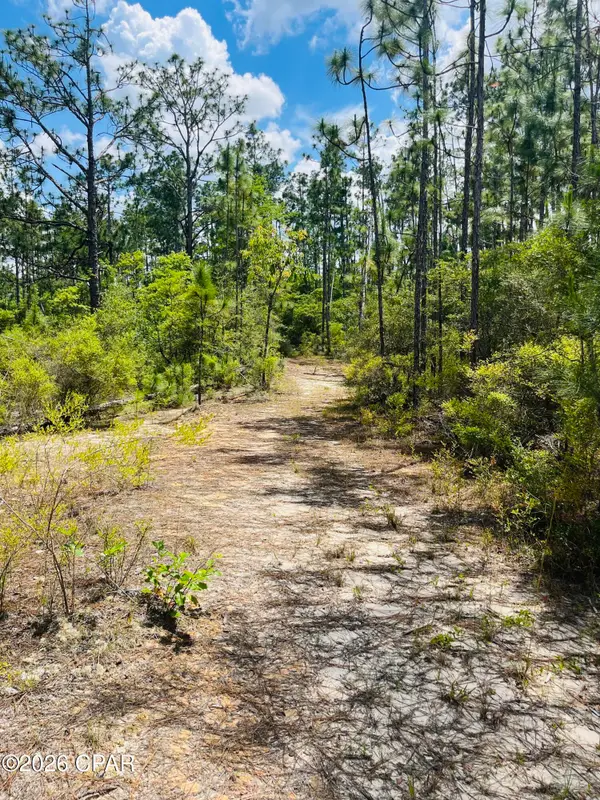 TBD Chaco Circle, Alford, FL 32420