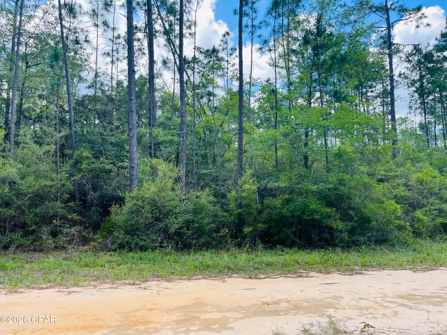 TBD Chaco Circle, Alford, FL 32420 - #3