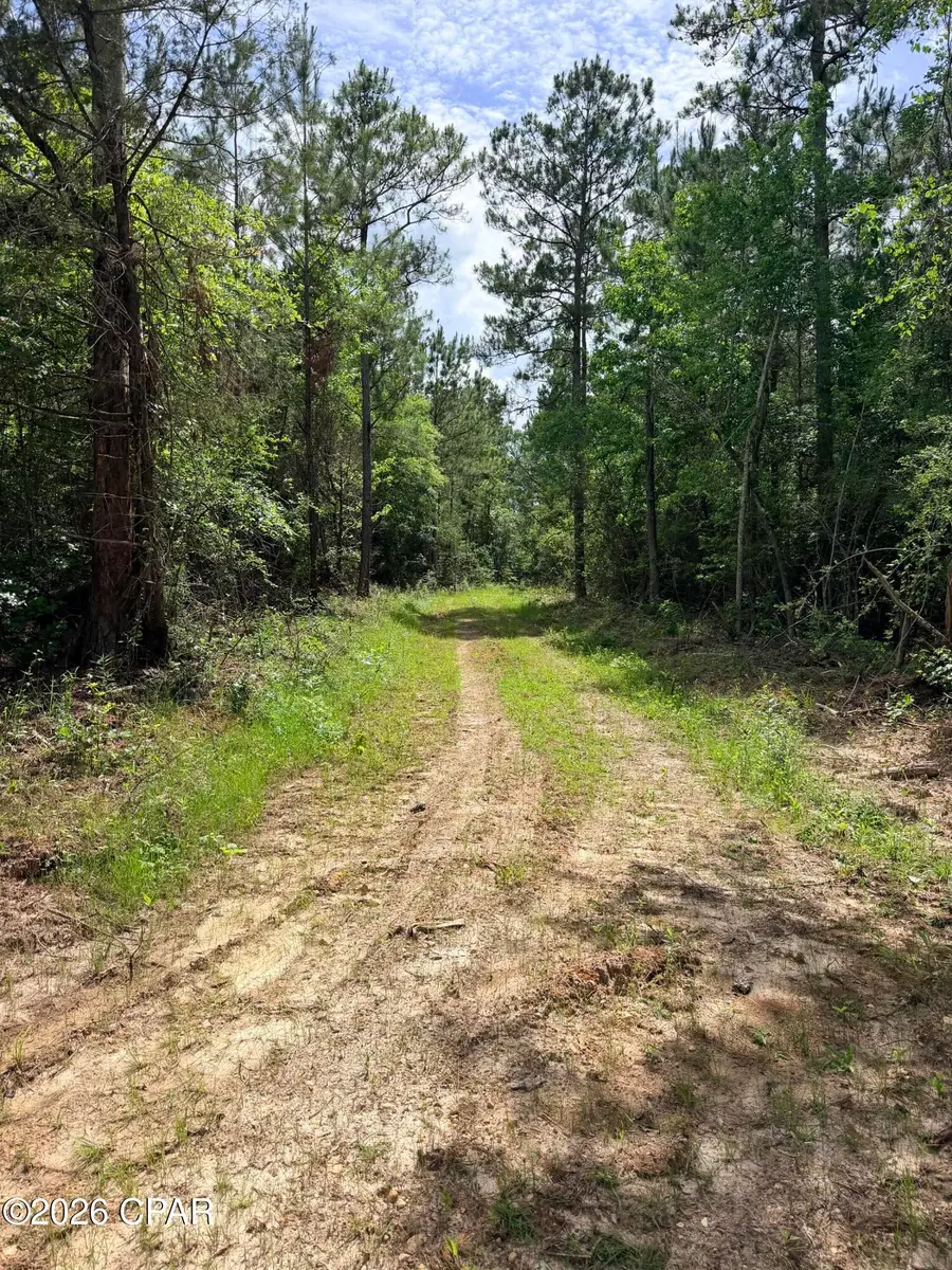 0 Buttercup Ln, Marianna, FL 32446 - #3