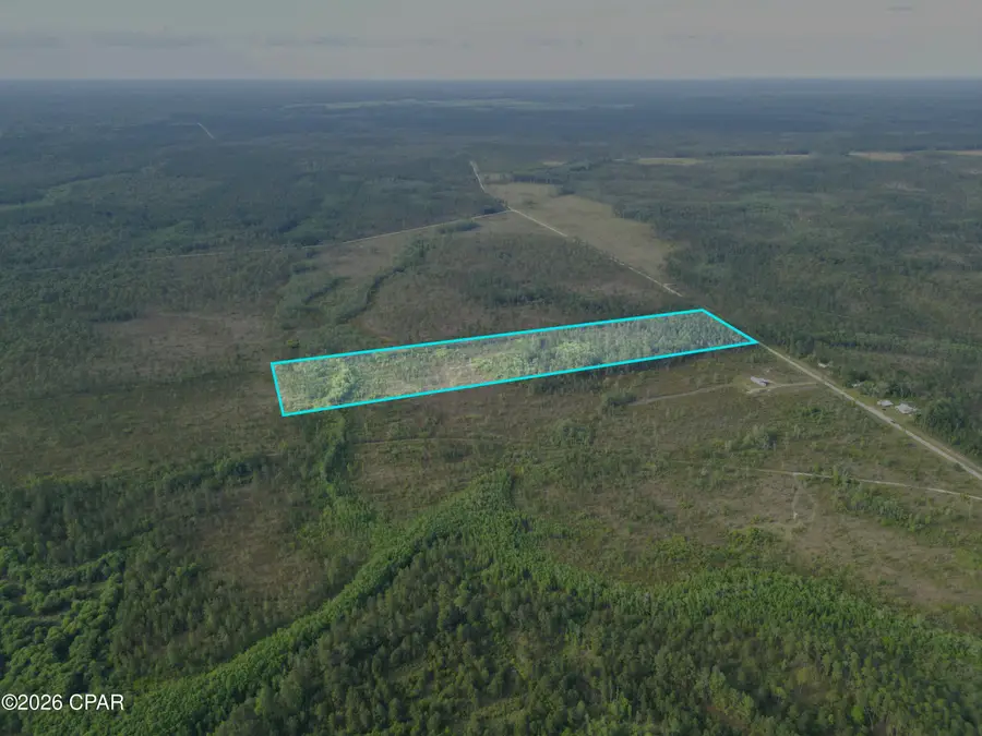 TBD SW County Road 379, Bristol, FL 32321 - #3
