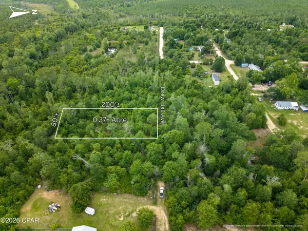 Lot 9-10 Drew Hall, Altha, FL 32421