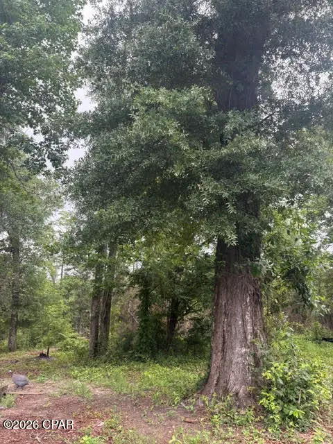 2435 Douglas Pond Road, Marianna, FL 32446