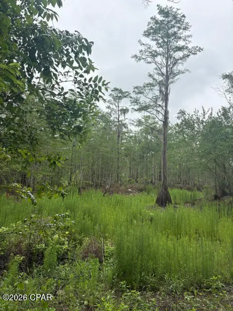 2435 Douglas Pond Road, Marianna, FL 32446 - #2