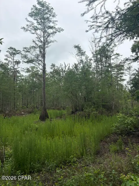 2435 Douglas Pond Road, Marianna, FL 32446 - #3