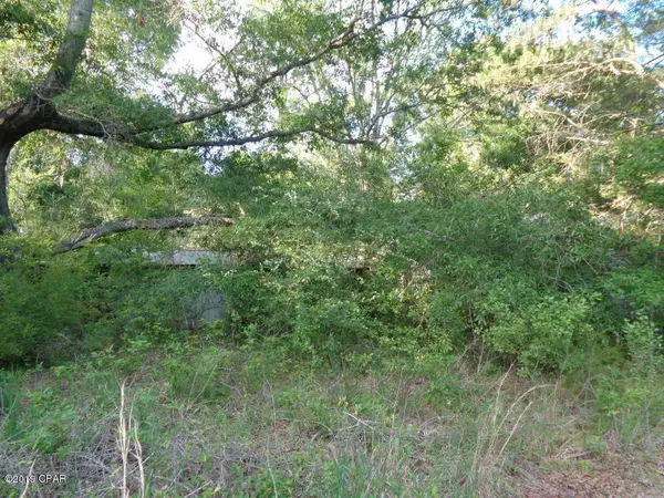 0 Madison Lane, Graceville, FL 32440
