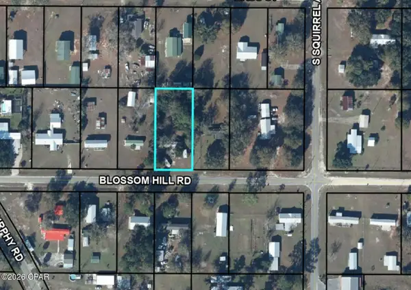 6965 Blossom Hill Road, Wewahitchka, FL 32465