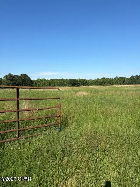 0 Galloway Road, Graceville, FL 32440 - #1