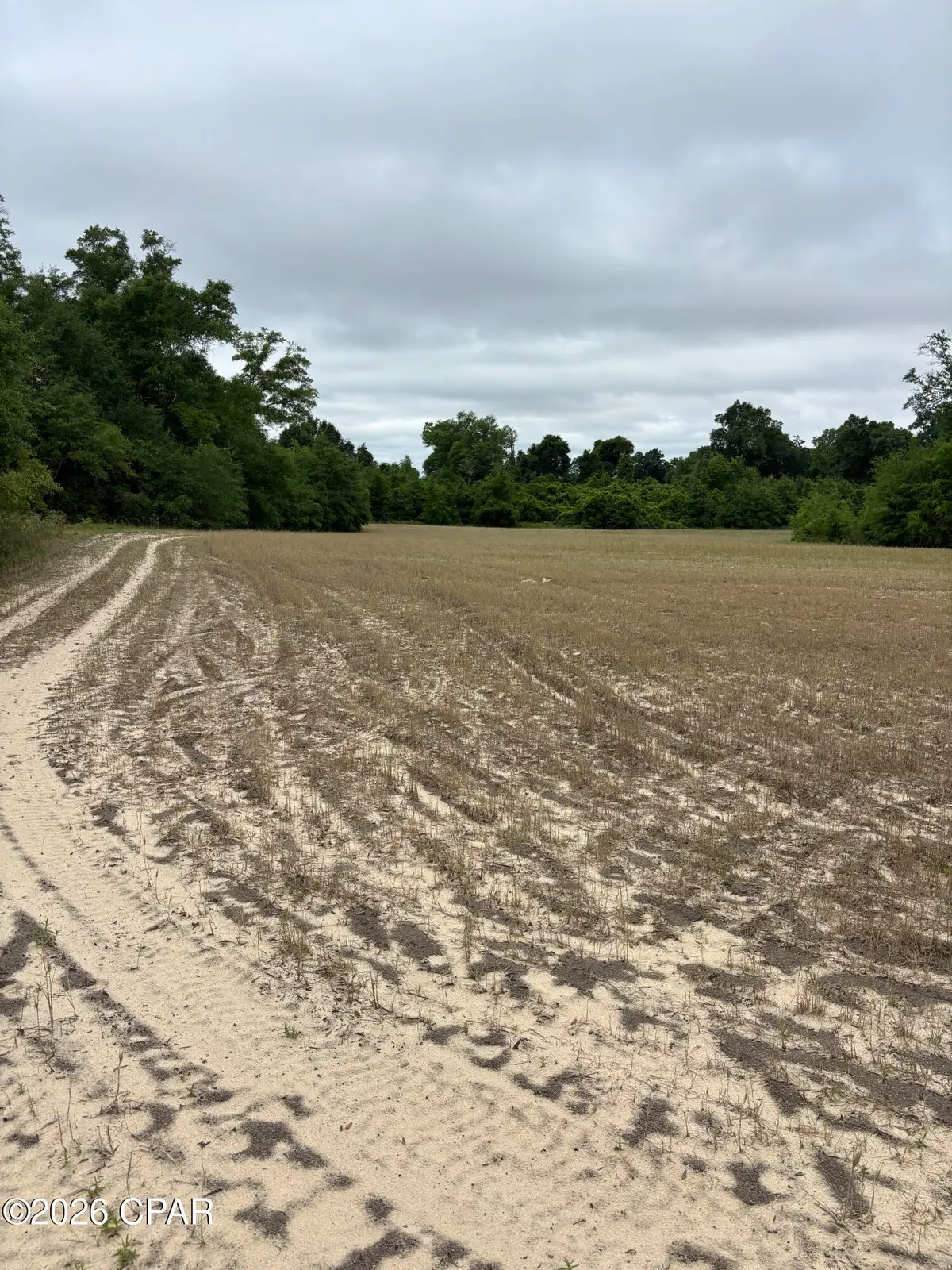 TBD Blue Springs Road, Greenwood, FL 32443 - #1