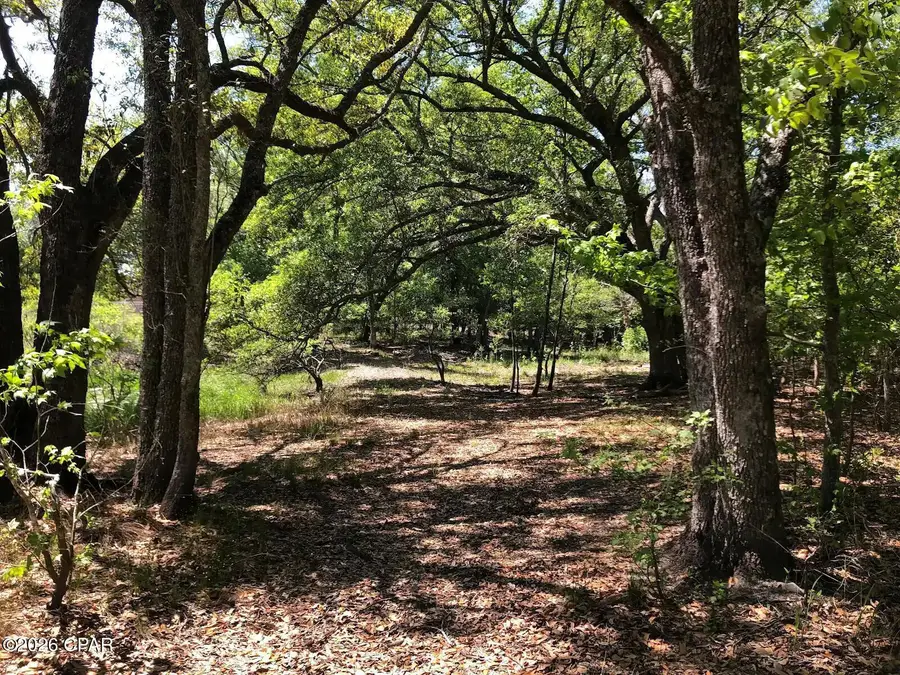 0 Little Zion Road, Sneads, FL 32460 - #2