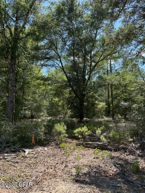 0 Pasofino Lane #M2-B3, Alford, FL 32420 - #1