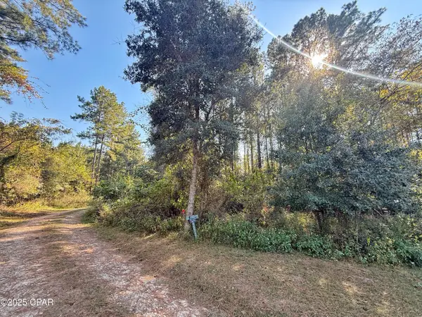 00 Lure Lane, Sneads, FL 32460