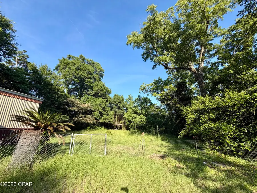 2036 Lou Avenue, Sneads, FL 32460 - #3