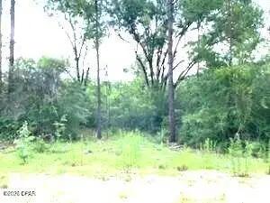 0 Summer Street #3, Marianna, FL 32448 - #1