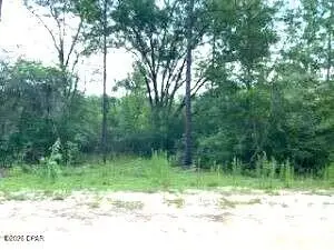 00 Bay Drive #lot 51,52, Marianna, FL 32448 - #2
