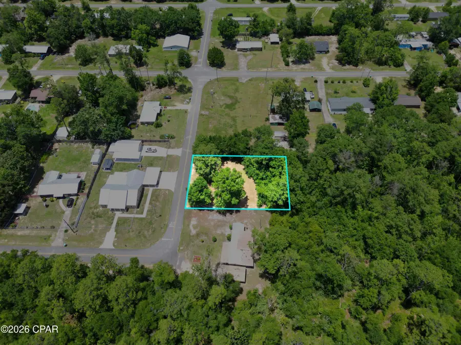 14248 NW 1st Avenue, Bristol, FL 32321 - #3