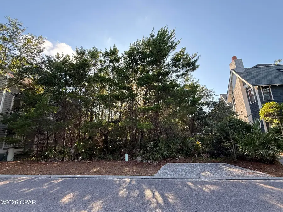 XX Coopersmith Lane, Inlet Beach, FL 32461 - #3