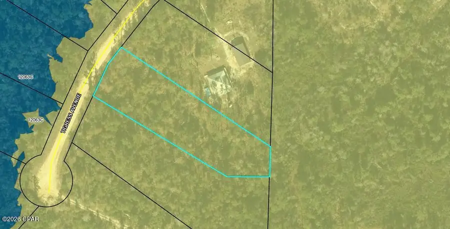 0 Tiger Avenue #LT3 BLK75, Marianna, FL 32448 - #3