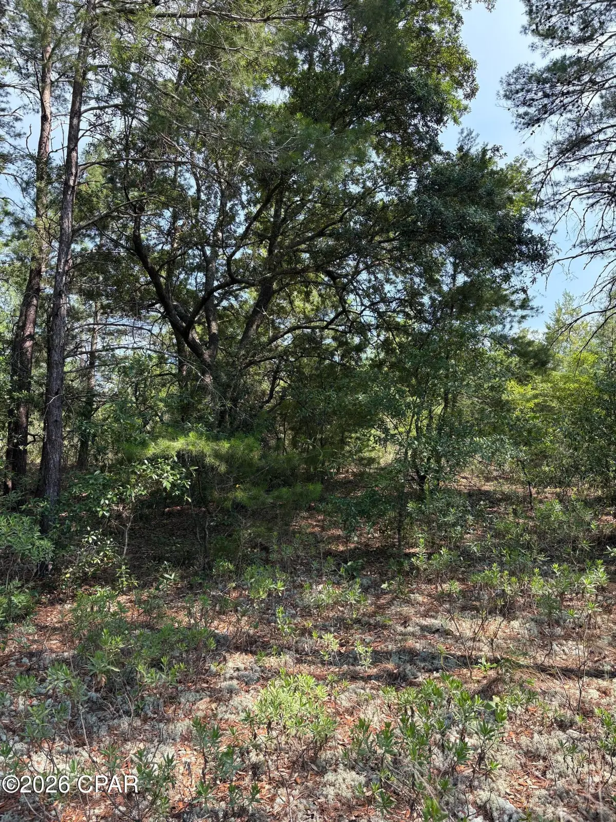 Lot 2 Dumajack Road, Chipley, FL 32428 - #1
