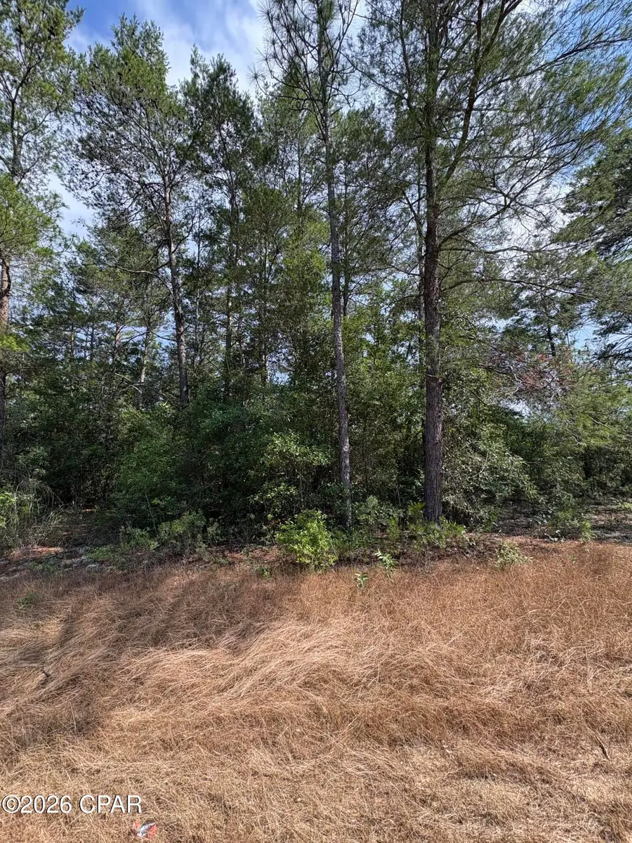 Lot 2 Dumajack Road, Chipley, FL 32428 - #3