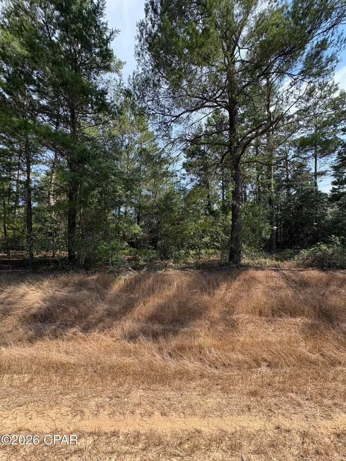 Lot 3 Dumajack Road, Chipley, FL 32428 - #1
