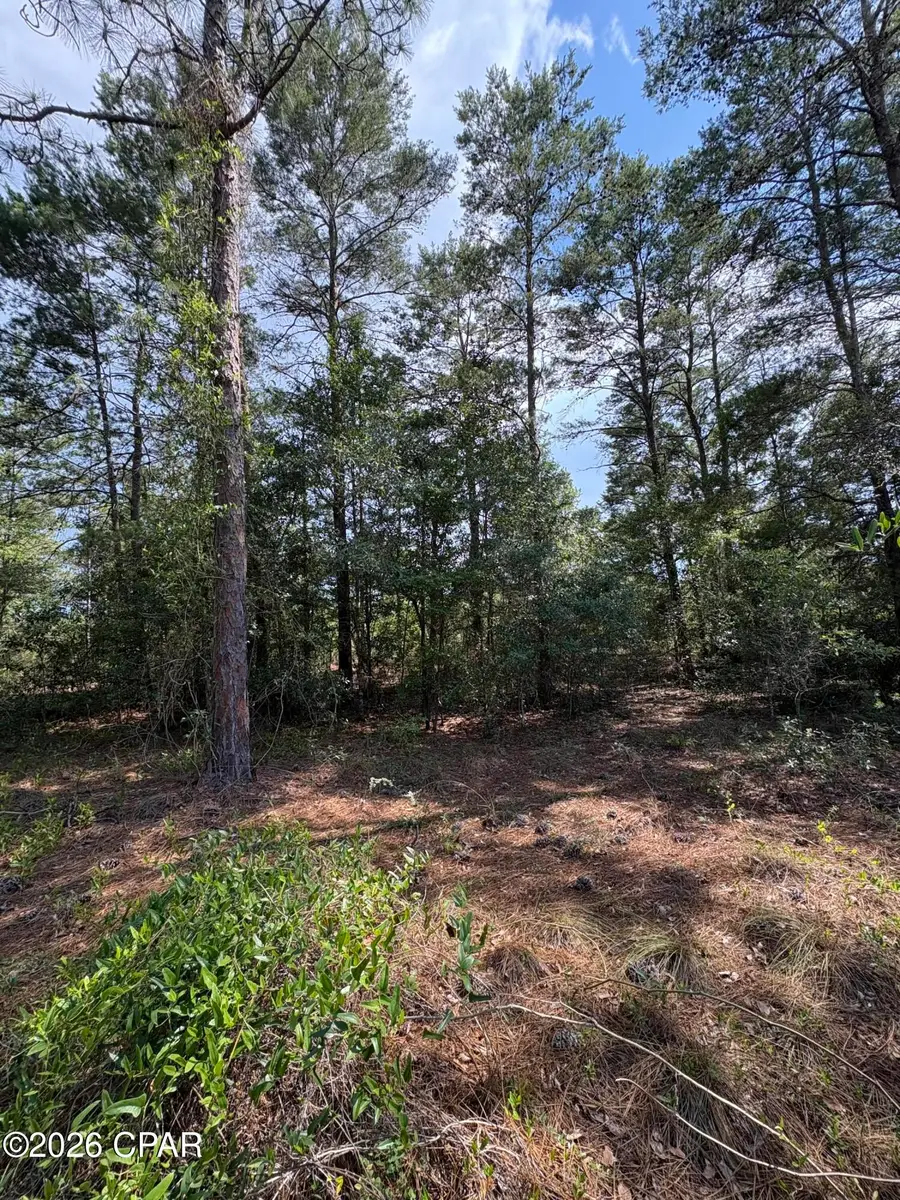 Lot 3 Dumajack Road, Chipley, FL 32428 - #3