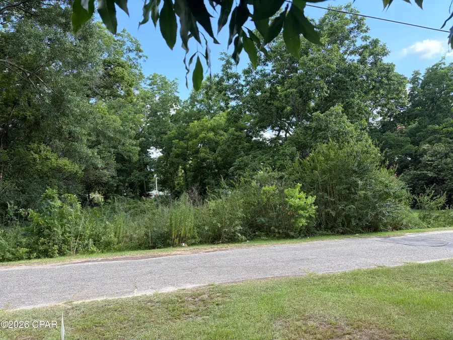 1025 Washington Avenue, Graceville, FL 32440 - #3