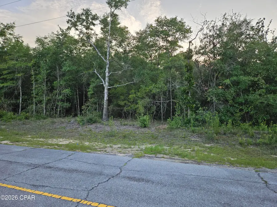 Lot 22 Dumas Lane, Chipley, FL 32428 - #3