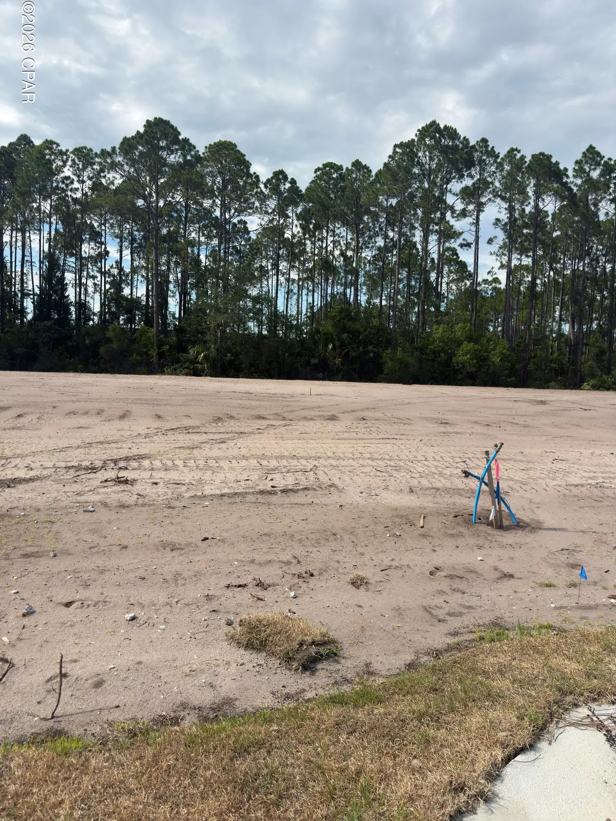 Lot 2 Pine Branch Ct, Port Saint Joe, FL 32456 - #1