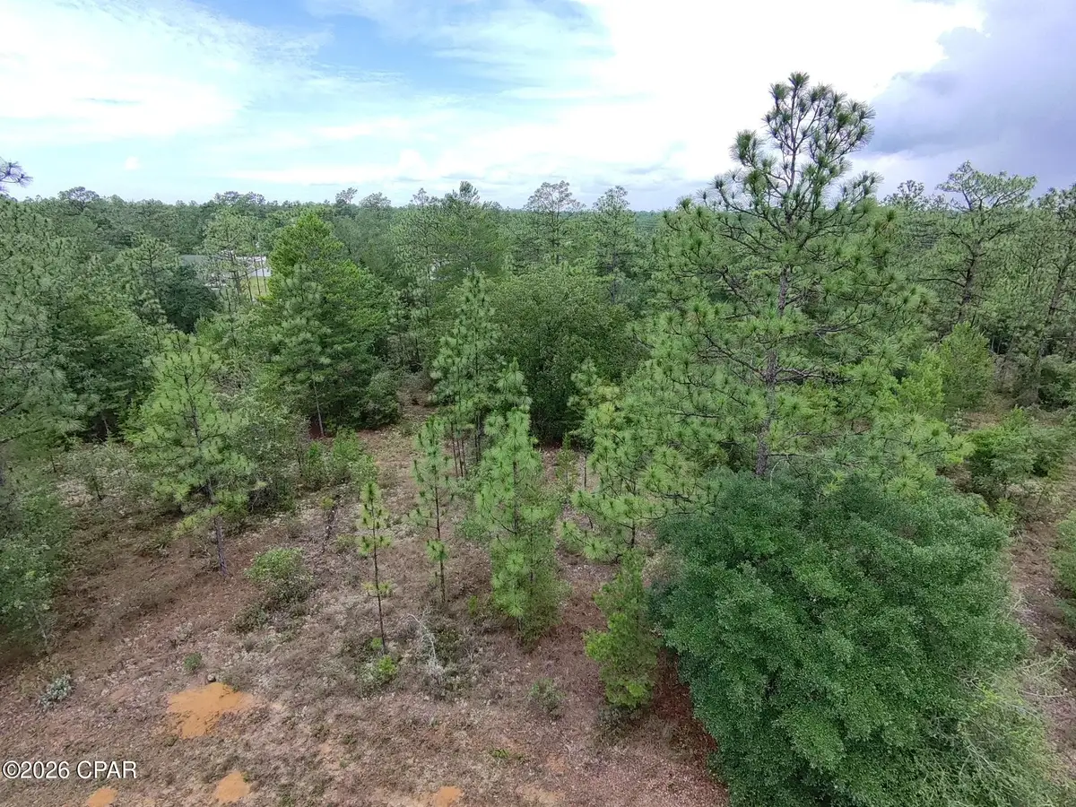 LOT 24 Newmoon Drive, Chipley, FL 32428 - #1