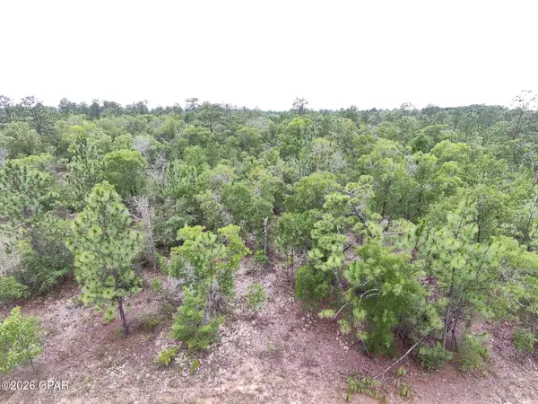 LOT 10 Newcomb Avenue, Chipley, FL 32428