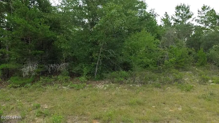 Lot 12 Bestland Drive #11, Chipley, FL 32428 - #3