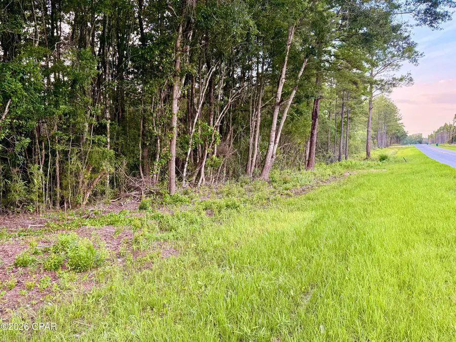 0000 Shell Landing Road, Vernon, FL 32462 - #2