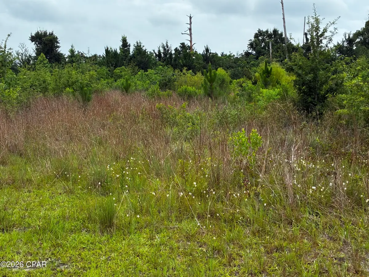 4013 Highway 389, Panama City, FL 32405 - #1