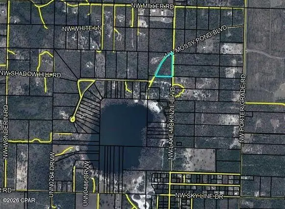 21886 Lake Mckenzie Boulevard, Altha, FL 32421 - #1