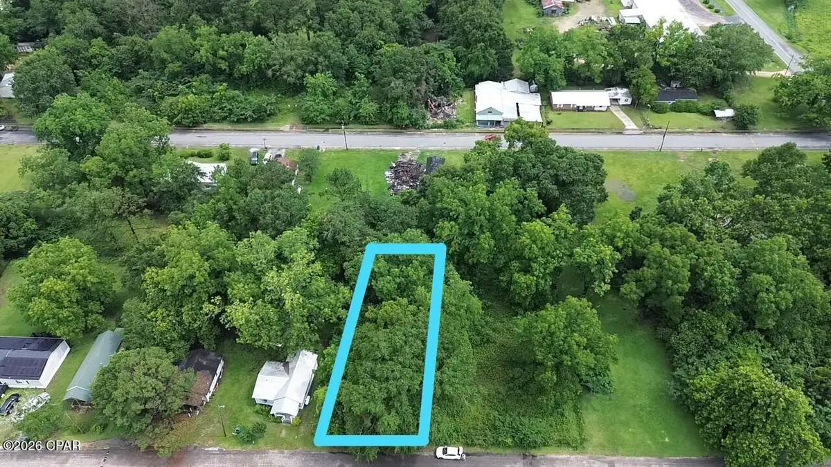 Lot 1 Washington Street, Graceville, FL 32440 - #1