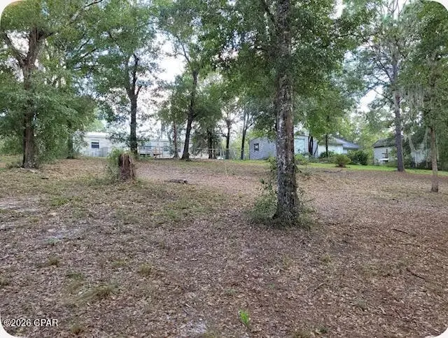 4393 Leisure Lakes Drive, Chipley, FL 32428 - #3